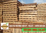 Thu mua ván ép - Pallet - Coffa