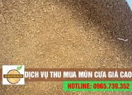 Chuyên thu mua mùn cưa số lượng lớn & giá cao