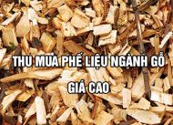 Nhà cung cấp thu mua phế liệu gỗ uy tín tại miền nam