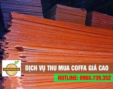 Chuyên thu mua coffa gỗ vụn GIÁ CAO - PHỤC VỤ 24/7 - BAO VẬN CHUYỂN