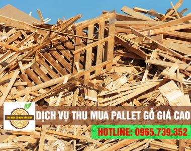 Thu mua pallet gỗ cũ giá cao tận nơi - Bao vận chuyển