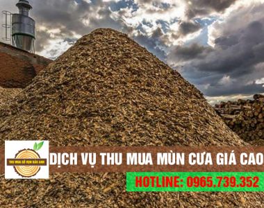 Chuyên thu mua mùn cưa giá cao tại Bình Dương và các tỉnh lân cận