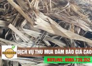 Địa chỉ cung cấp dịch vụ thu mua dăm bào uy tín, giá cao