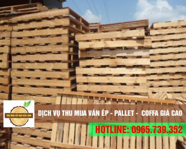Thu mua ván ép - Pallet - Coffa