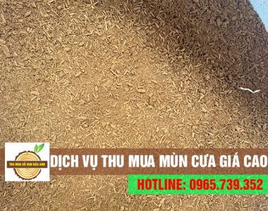 Chuyên thu mua mùn cưa số lượng lớn & giá cao