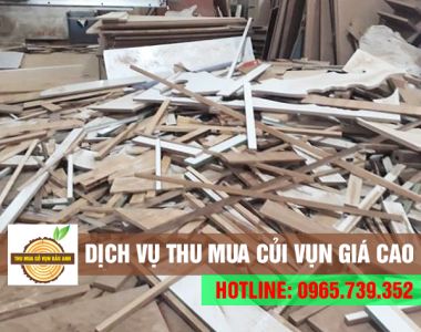 Đơn vị thu mua củi vụn, gỗ vụn giá cao & uy tín