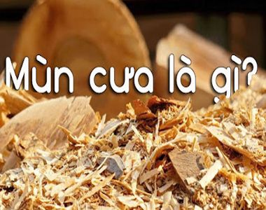 Mùn cưa là gì? Tìm hiểu về công dụng của mùn cưa