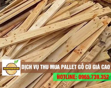 Đơn vị chuyên thu mua pallet gỗ cũ các loại GIÁ CAO
