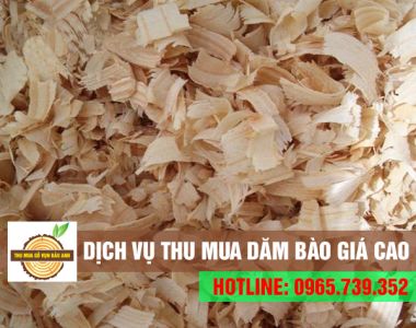 Dịch vụ thu mua dăm bào Bình Dương giá cao. Bao vận chuyển