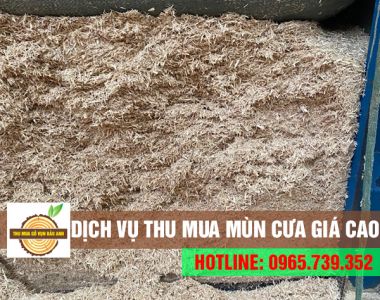 Chuyên thu mua mùn cưa giá cao, uy tín, có xe vận chuyển tận nơi