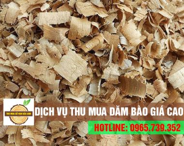  Chuyên thu mua dăm bào, củi vụn, mùn cưa giá cao & số lượng lớn