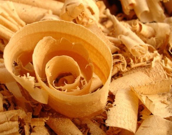 Thu mua gỗ vụn giá cao tại TPHCM