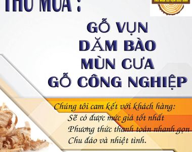 Chuyên thu mua phế liệu gỗ các loại với giá tốt nhất