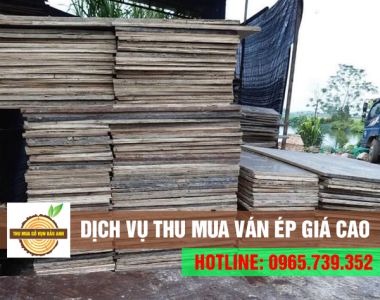 Chuyên thu mua ván ép gỗ thanh lý GIÁ CAO, UY TÍN