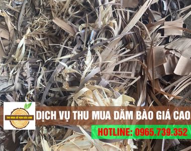 Chuyên thu mua dăm bào GIÁ CAO - KHÔNG NGẠI SỐ LƯỢNG