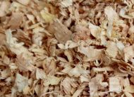 Thu mua gỗ vụn giá cao tại Long An